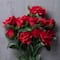 Red Rose Bush by Ashland®